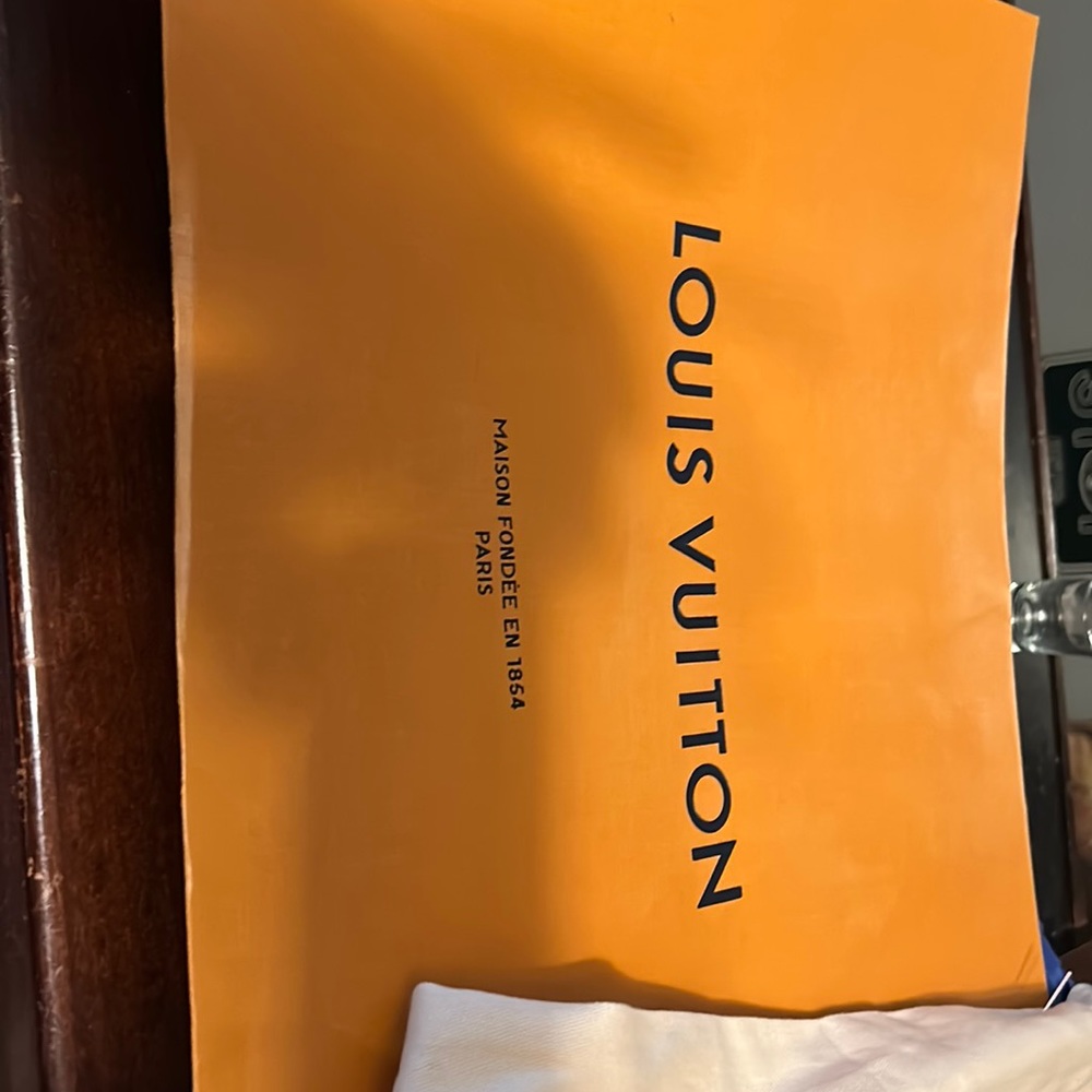 Louie Vuitton bag and dust bag